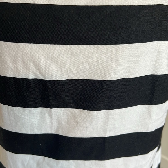 Ann Taylor Chic and Classic Black and White Striped Sheath Dress - Size 6 - Picture 4 of 11